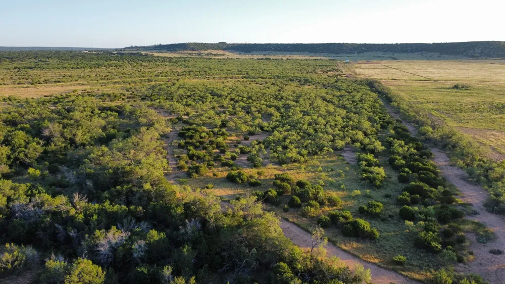 449 CR 194 Ovalo, TX 79541