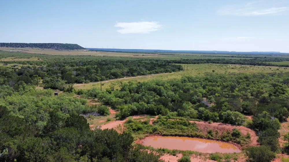 449 CR 194 Ovalo, TX 79541