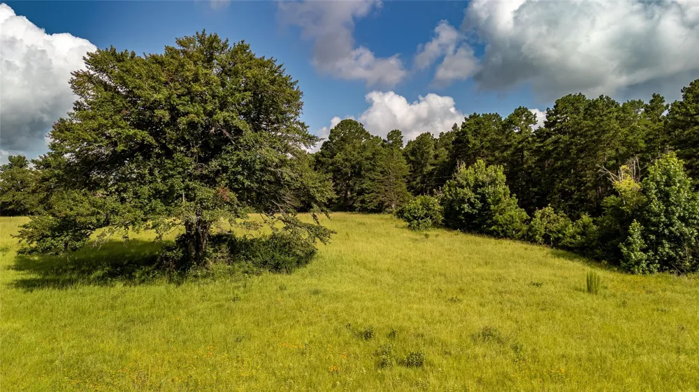 738 CR 1209 Grapeland, TX 75844