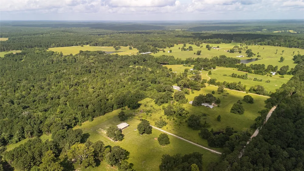 738 CR 1209 Grapeland, TX 75844