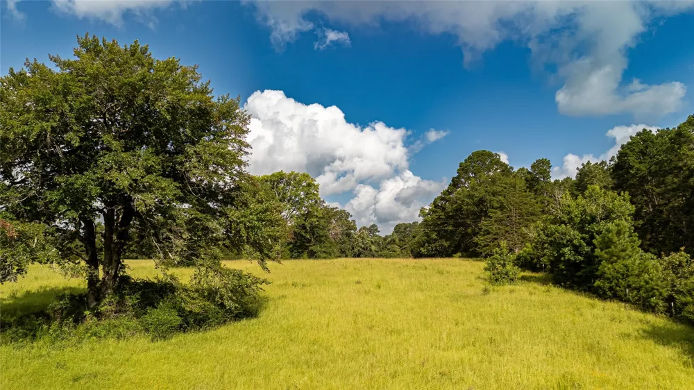 738 CR 1209 Grapeland, TX 75844