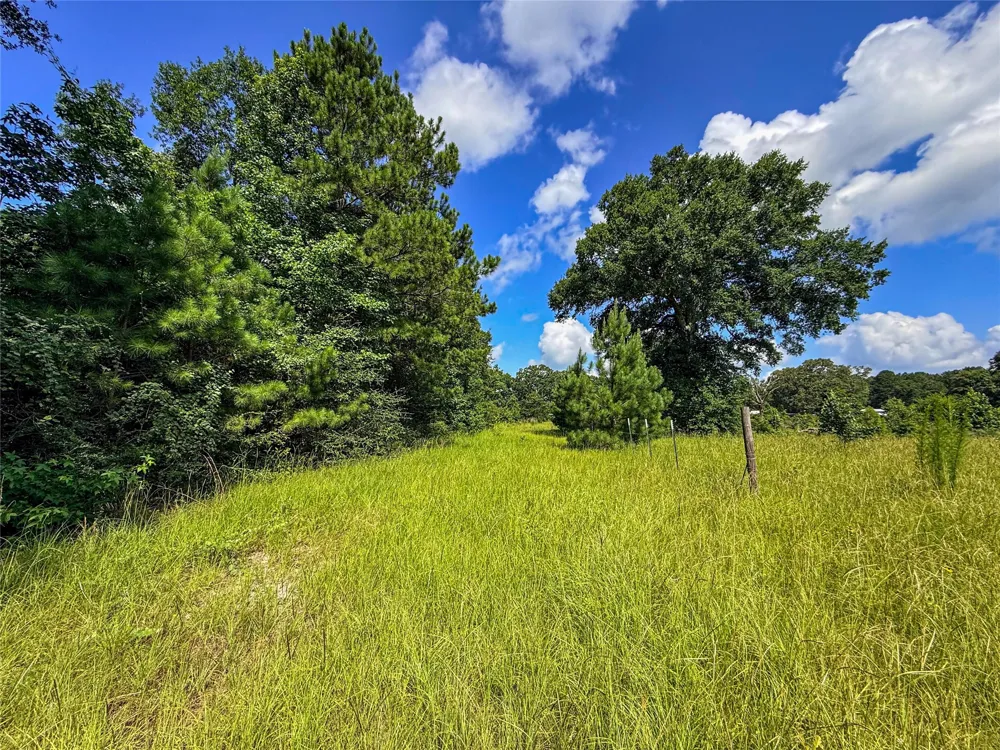 738 CR 1209 Grapeland, TX 75844