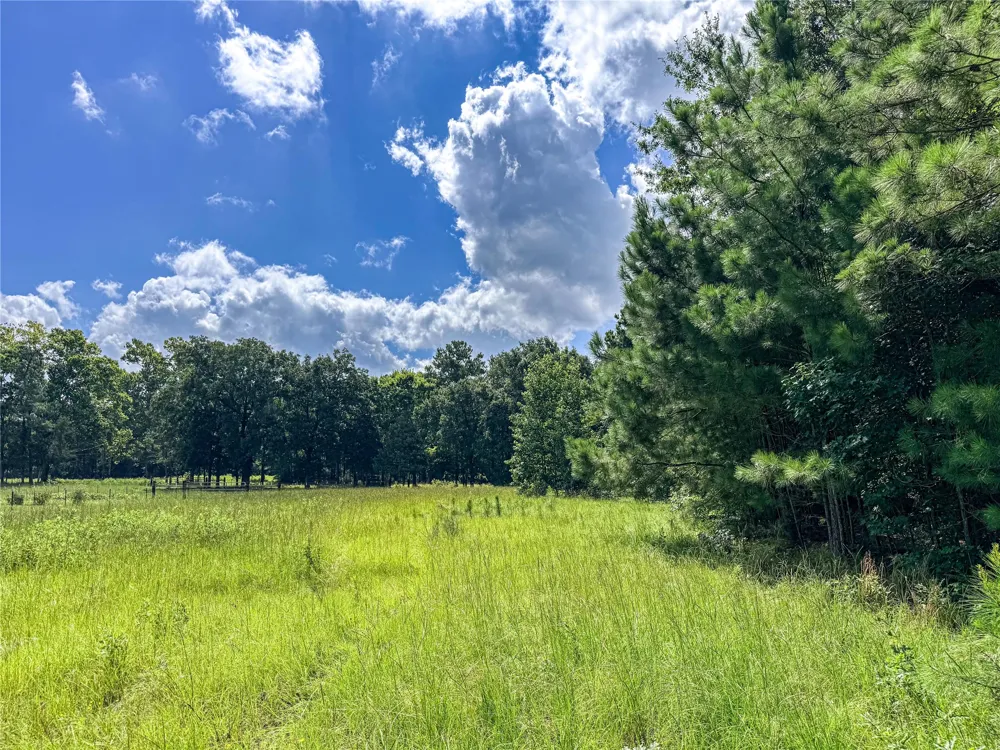 738 CR 1209 Grapeland, TX 75844