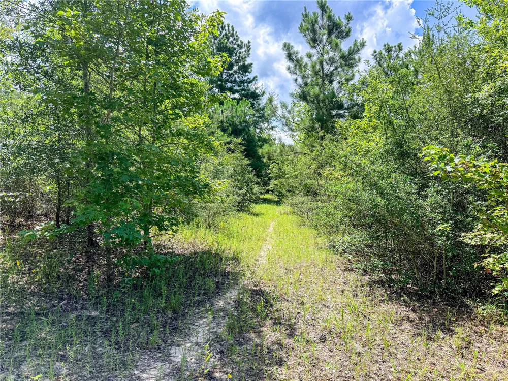 738 CR 1209 Grapeland, TX 75844