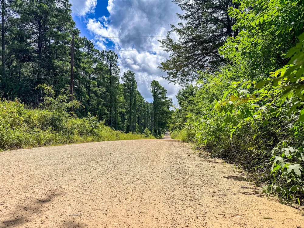738 CR 1209 Grapeland, TX 75844