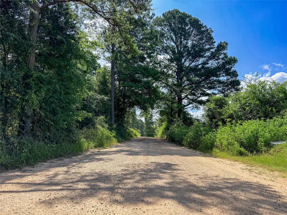 738 CR 1209 Grapeland, TX 75844