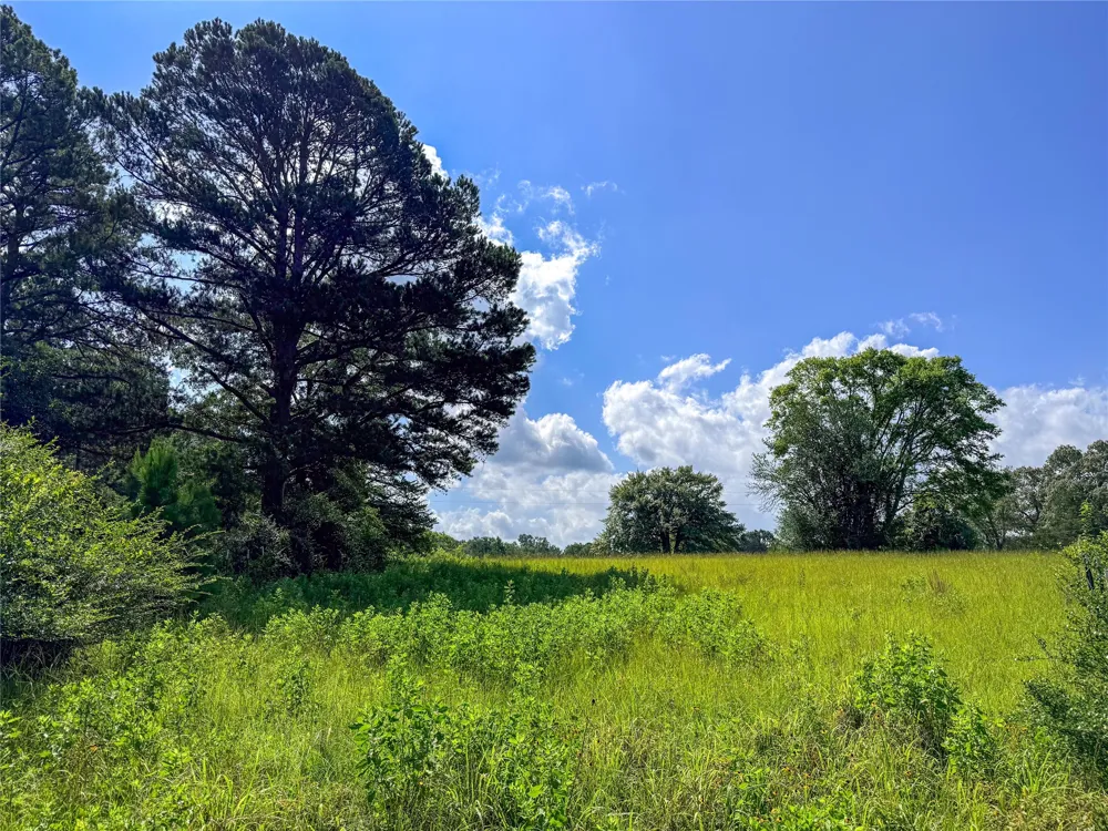 738 CR 1209 Grapeland, TX 75844