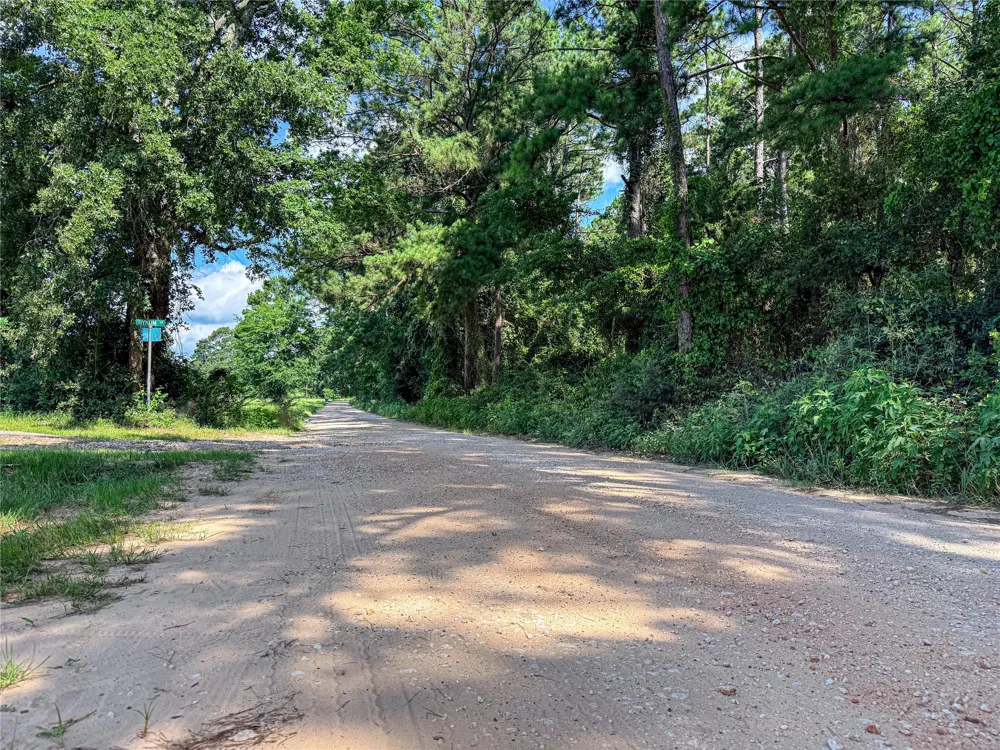 738 CR 1209 Grapeland, TX 75844