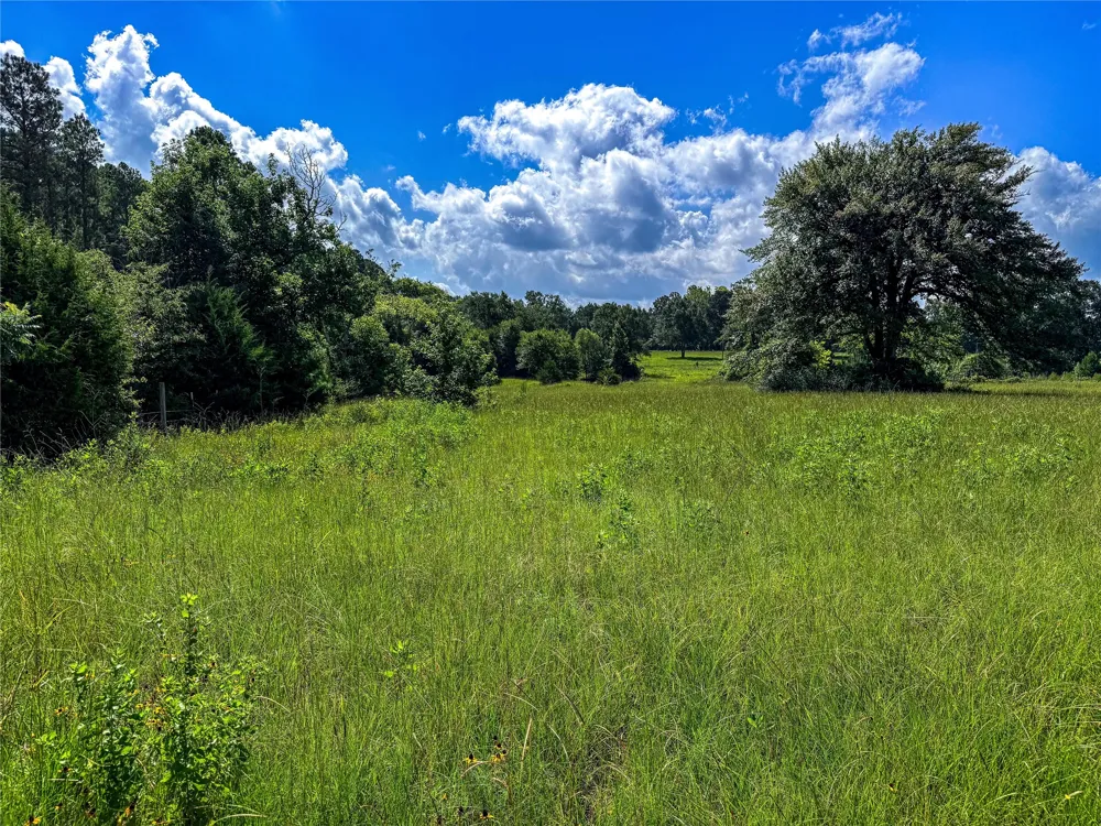 738 CR 1209 Grapeland, TX 75844