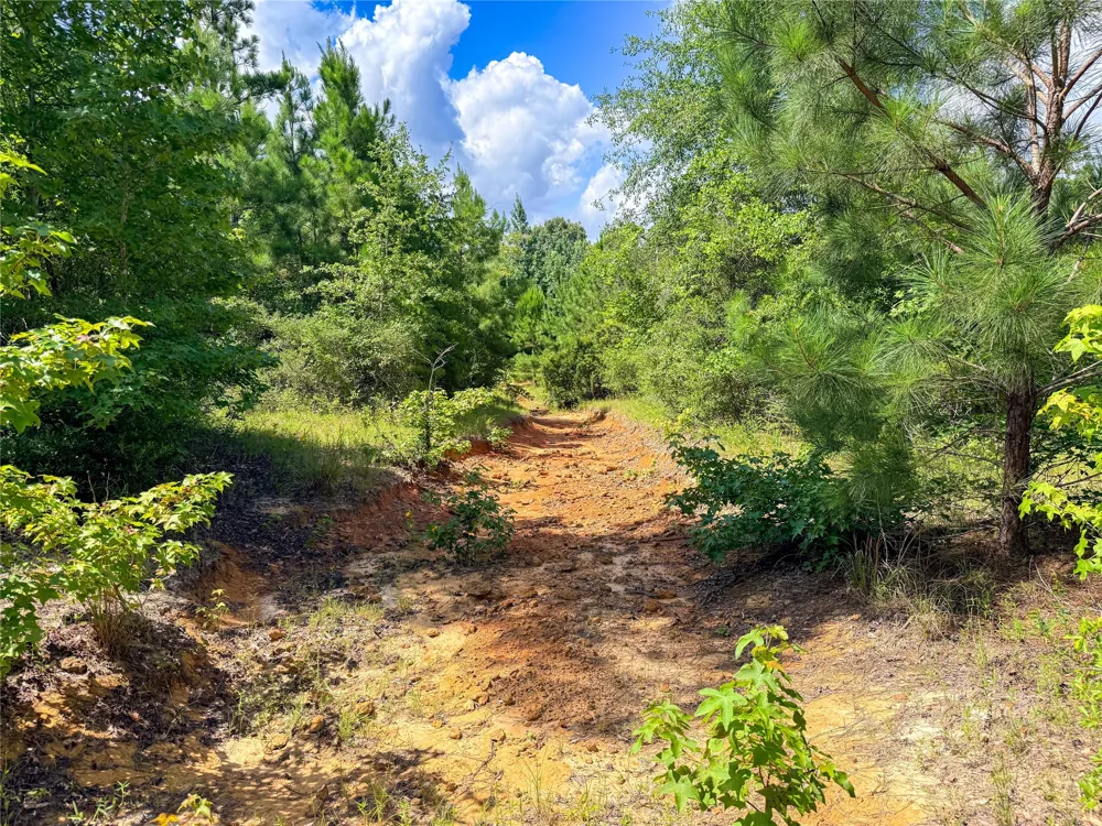 738 CR 1209 Grapeland, TX 75844