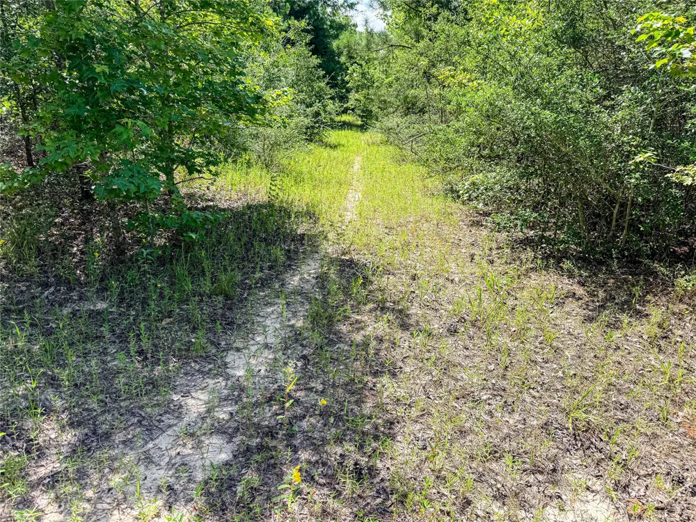 738 CR 1209 Grapeland, TX 75844