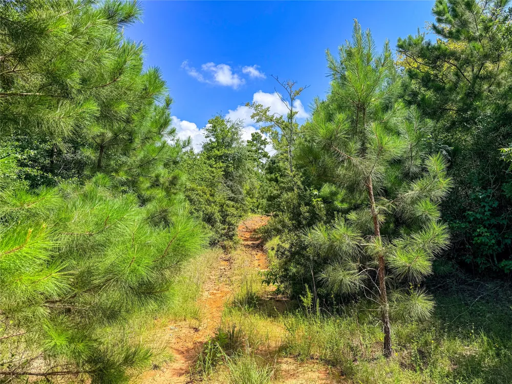 738 CR 1209 Grapeland, TX 75844