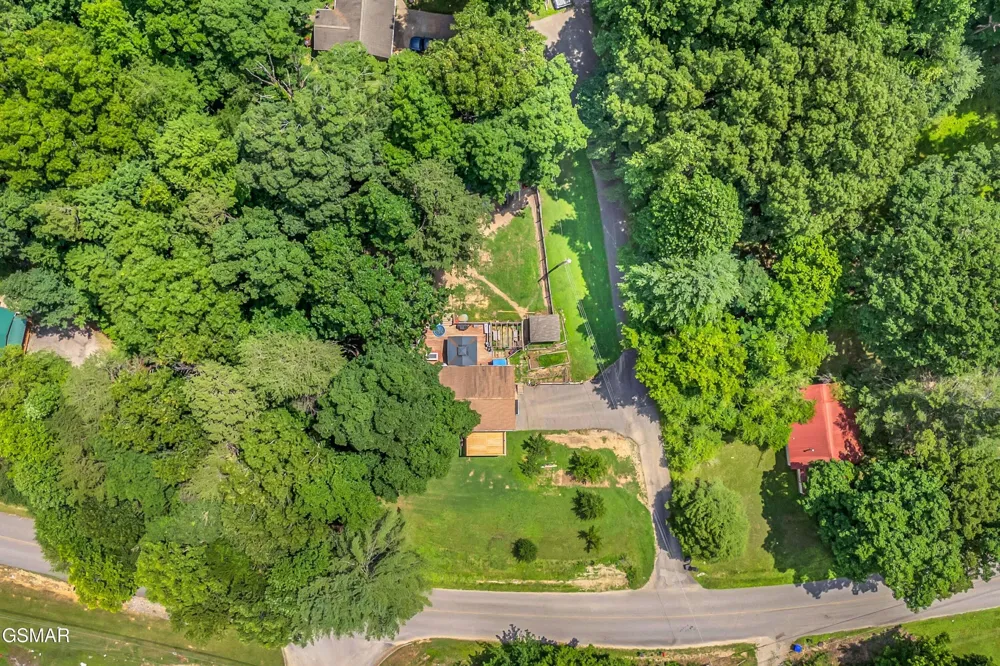 131 Delozier Lane Rockwood, TN 37854