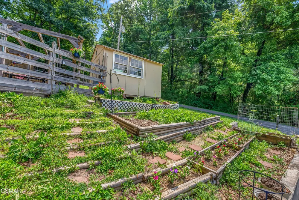 131 Delozier Lane Rockwood, TN 37854