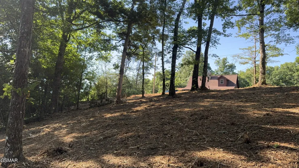 13 Rupert Drive Dandridge, TN 37725