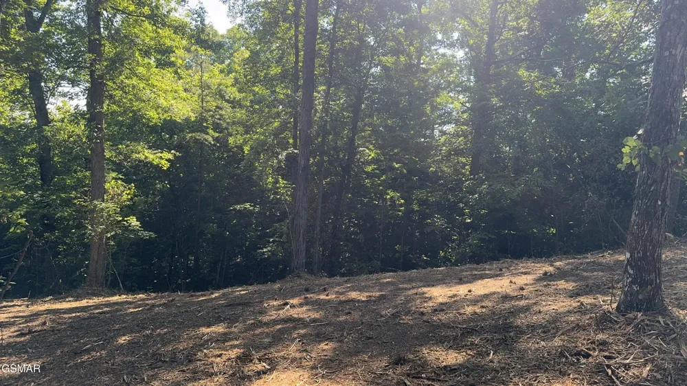 13 Rupert Drive Dandridge, TN 37725