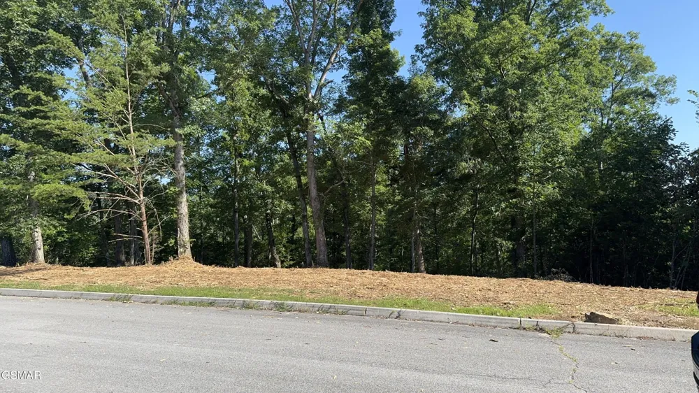 13 Rupert Drive Dandridge, TN 37725