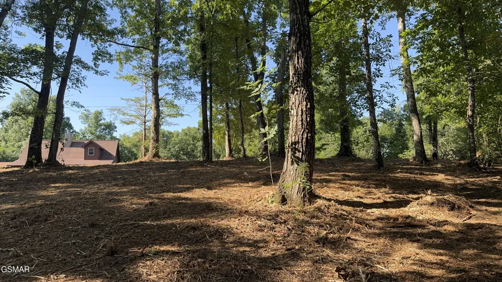13 Rupert Drive Dandridge, TN 37725