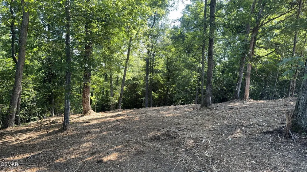 13 Rupert Drive Dandridge, TN 37725