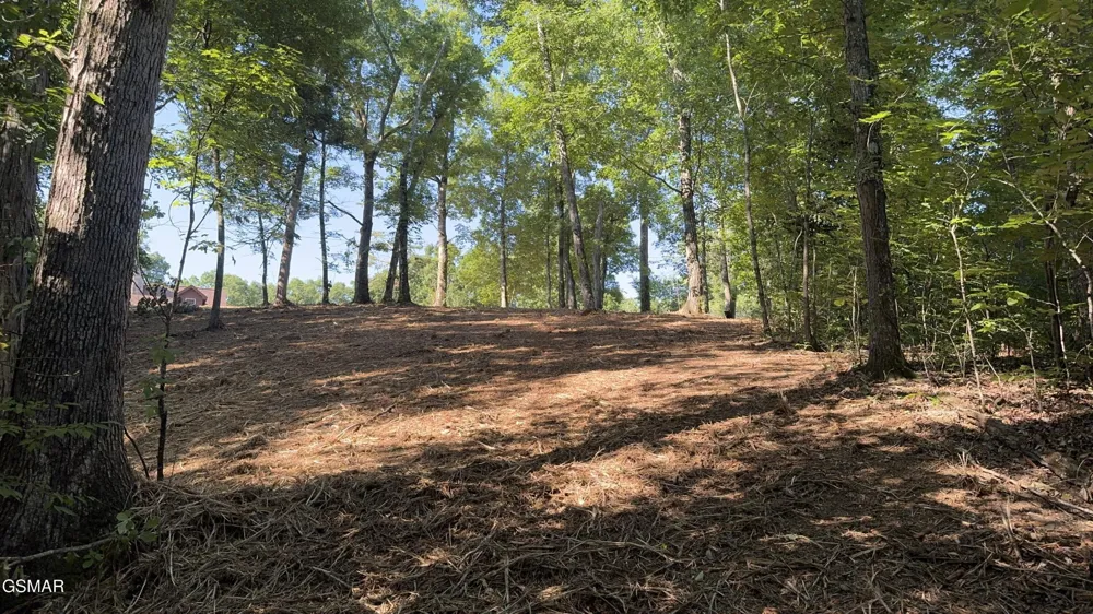 13 Rupert Drive Dandridge, TN 37725