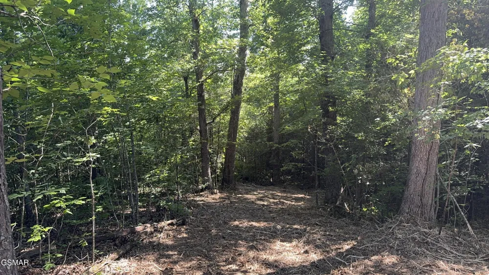 13 Rupert Drive Dandridge, TN 37725