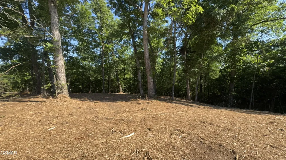 13 Rupert Drive Dandridge, TN 37725
