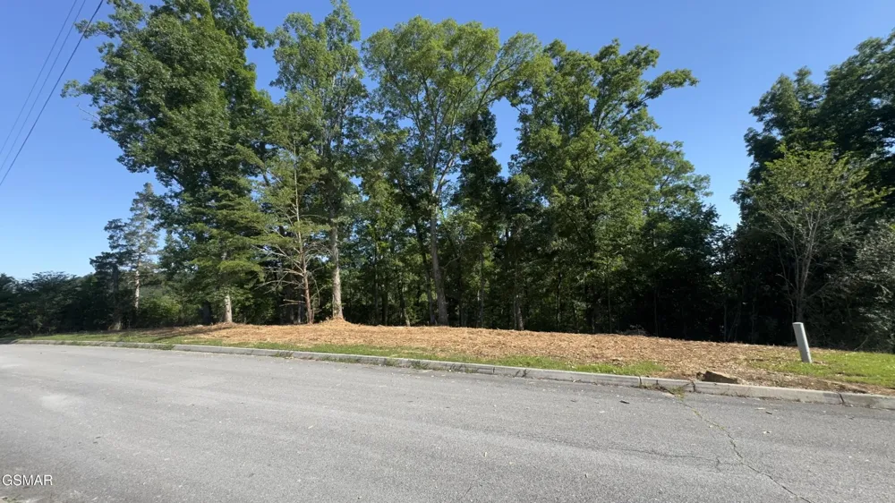 13 Rupert Drive Dandridge, TN 37725