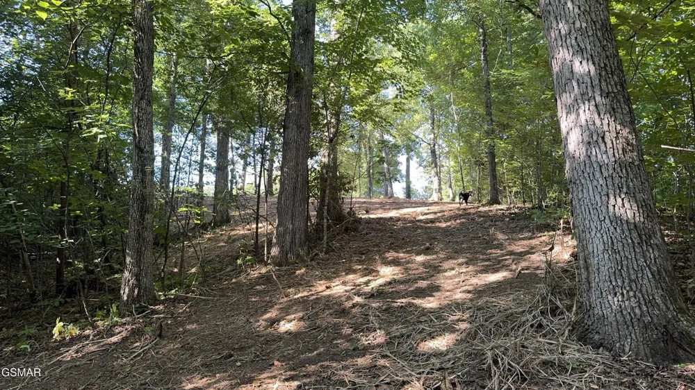 13 Rupert Drive Dandridge, TN 37725
