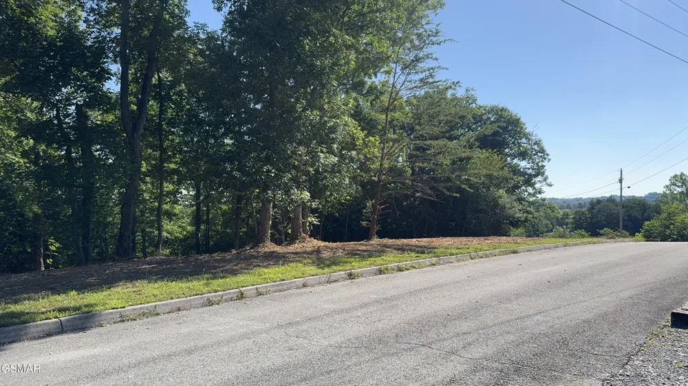 13 Rupert Drive Dandridge, TN 37725