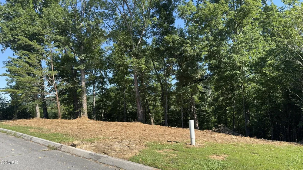 13 Rupert Drive Dandridge, TN 37725
