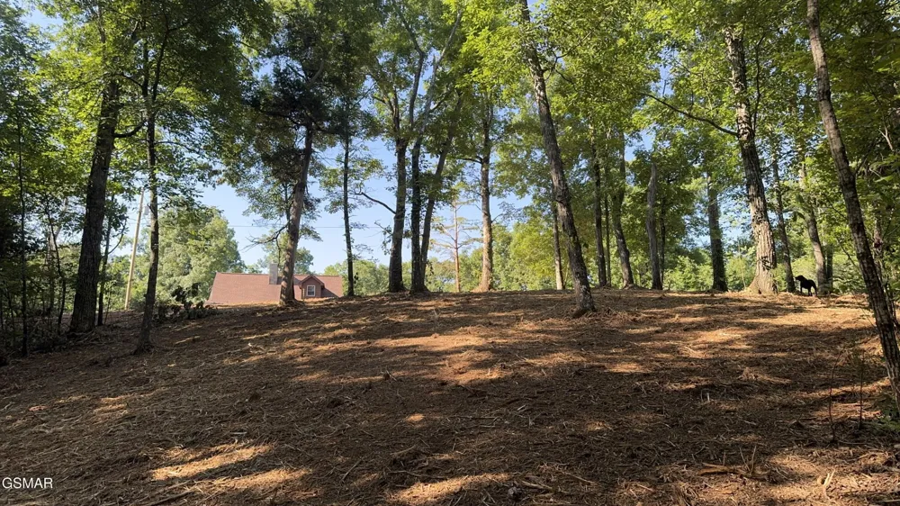 13 Rupert Drive Dandridge, TN 37725