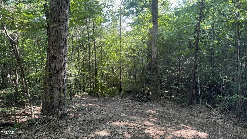 13 Rupert Drive Dandridge, TN 37725