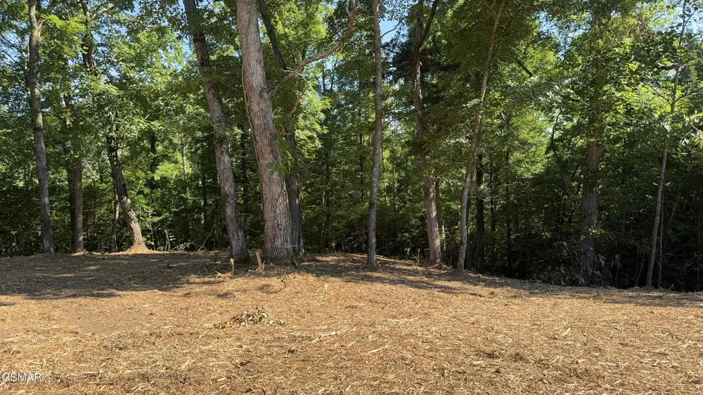 13 Rupert Drive Dandridge, TN 37725