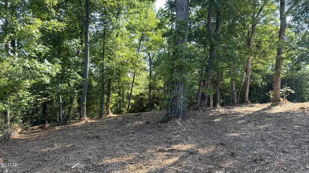 13 Rupert Drive Dandridge, TN 37725