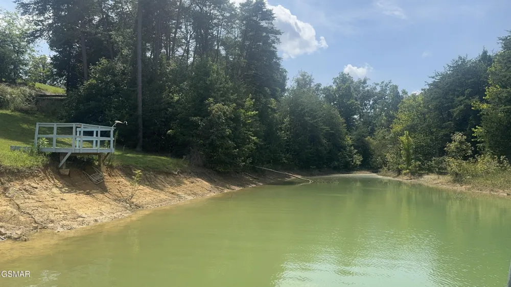 13 Rupert Drive Dandridge, TN 37725