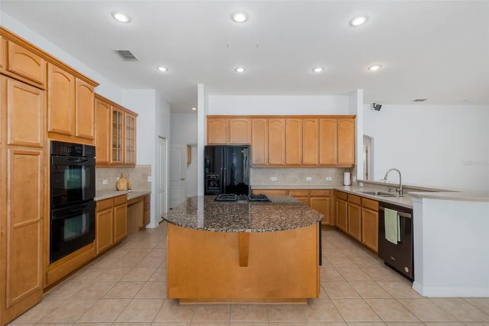 2151 EDELWEISS LOOP Trinity, FL 34655