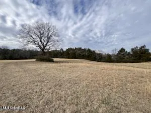 1477 Ms-6 Batesville, MS 38606