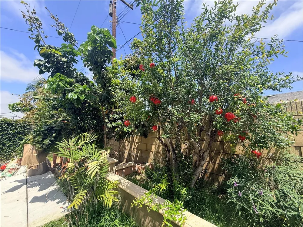 11335 Carob Fountain Valley, CA 92708