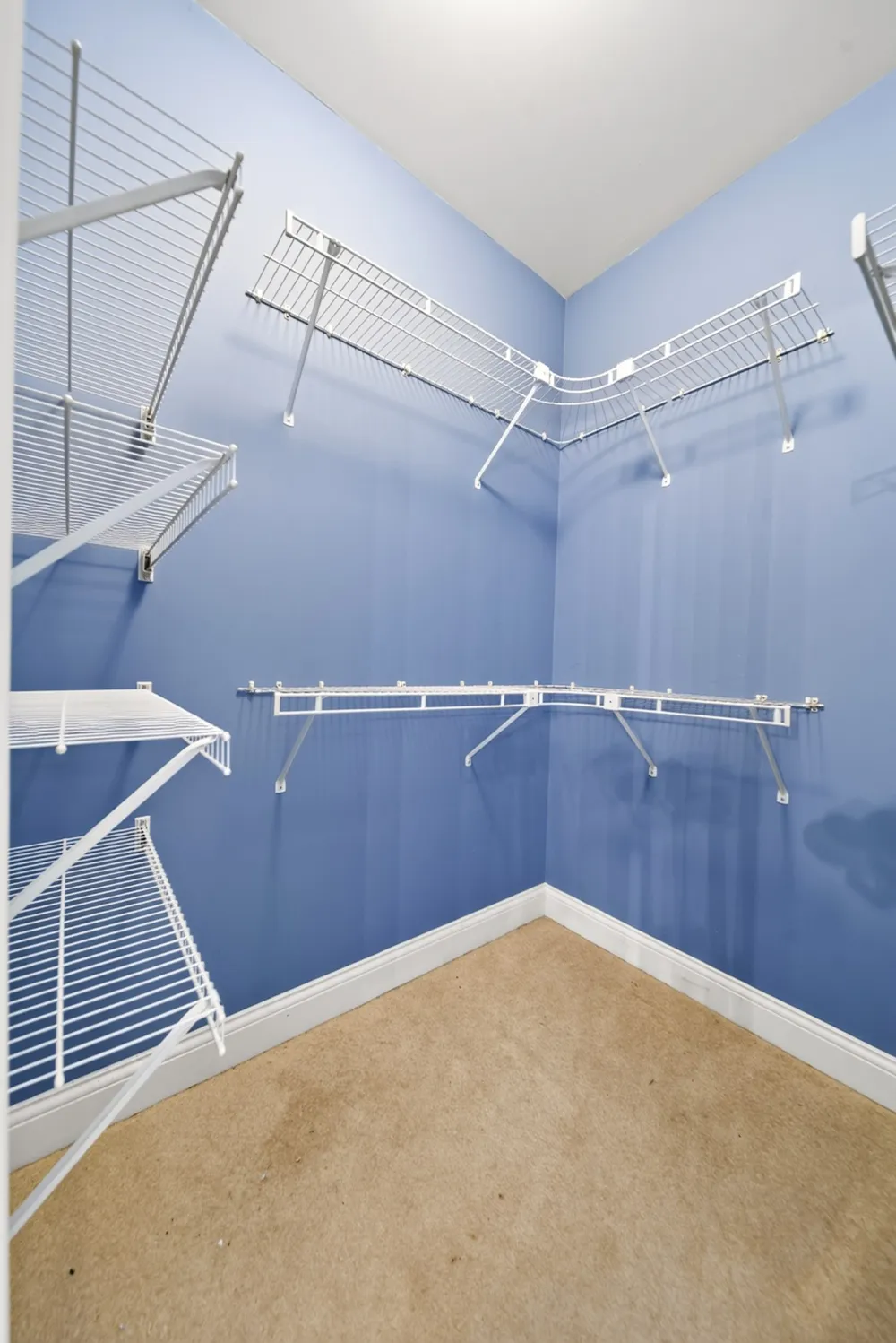 123 Ewing Dr Portland, TN 37148