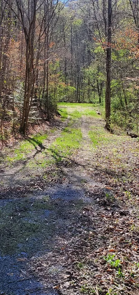 331 Chestnut Ridge Walland, TN 37886