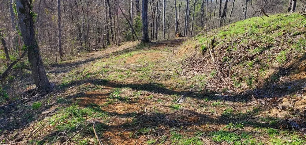 331 Chestnut Ridge Walland, TN 37886