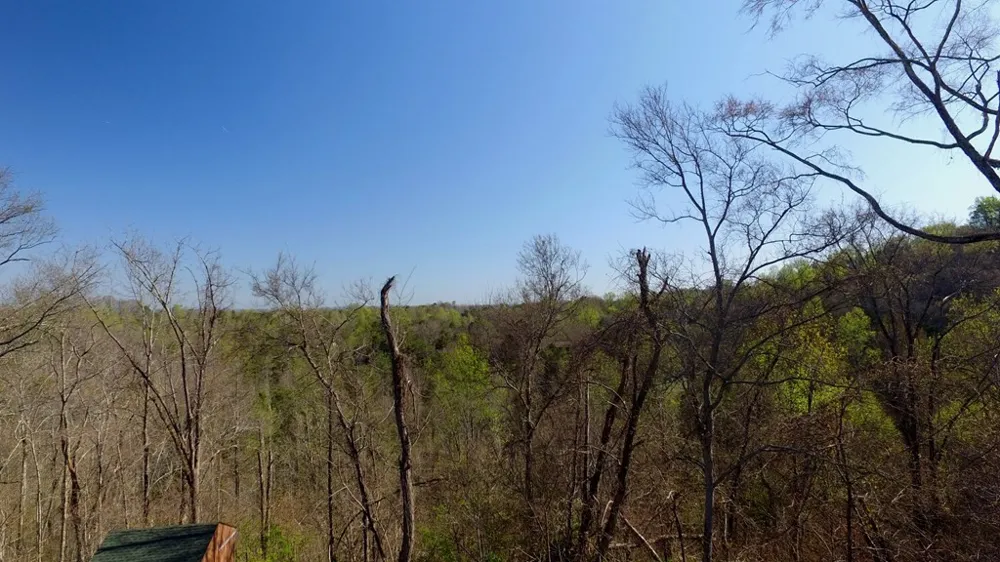 331 Chestnut Ridge Walland, TN 37886