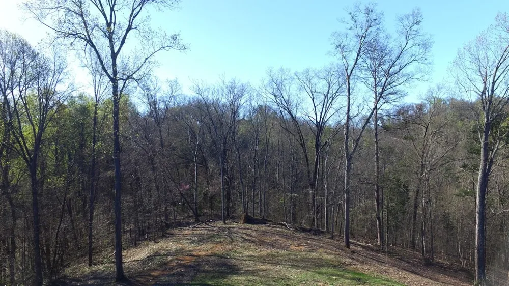 331 Chestnut Ridge Walland, TN 37886