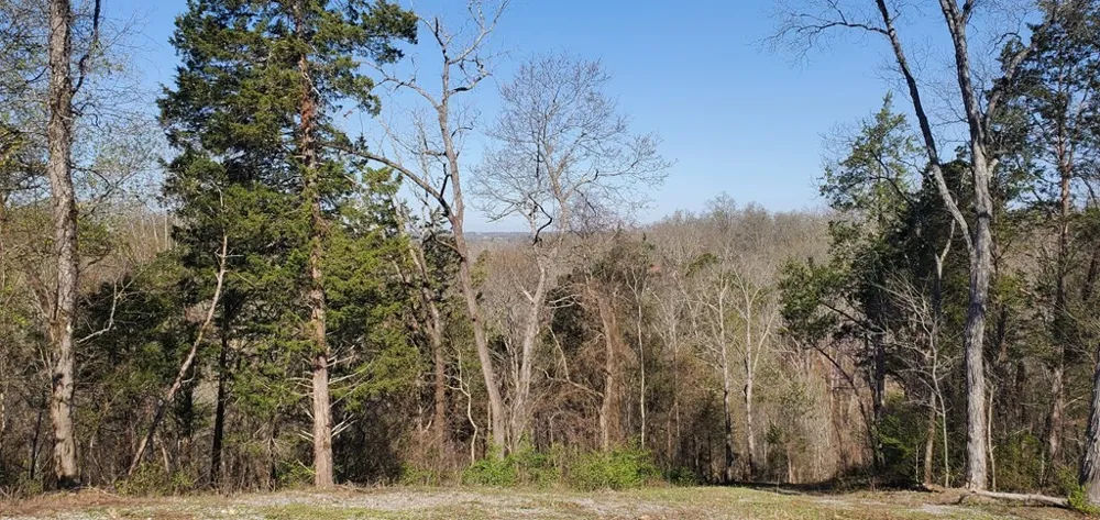 331 Chestnut Ridge Walland, TN 37886