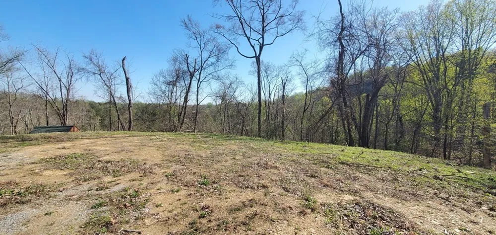 331 Chestnut Ridge Walland, TN 37886