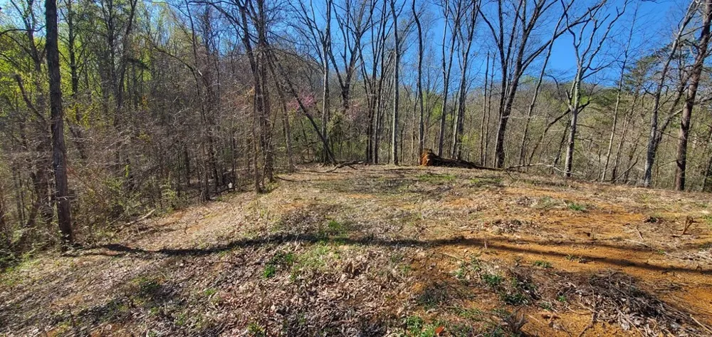 331 Chestnut Ridge Walland, TN 37886