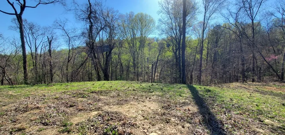 331 Chestnut Ridge Walland, TN 37886