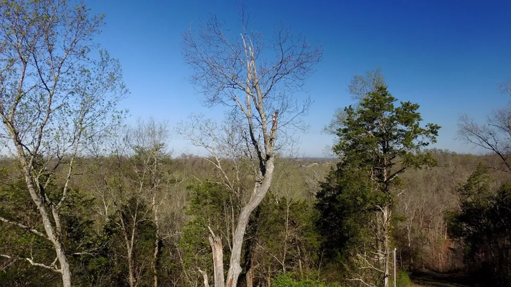331 Chestnut Ridge Walland, TN 37886
