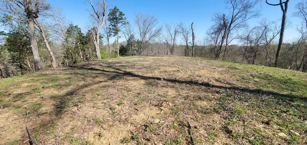 331 Chestnut Ridge Walland, TN 37886