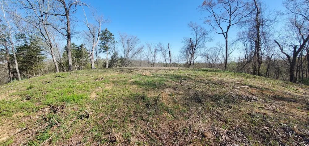331 Chestnut Ridge Walland, TN 37886